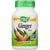 Ginger Root 550 mg, 100 Veg Capsules