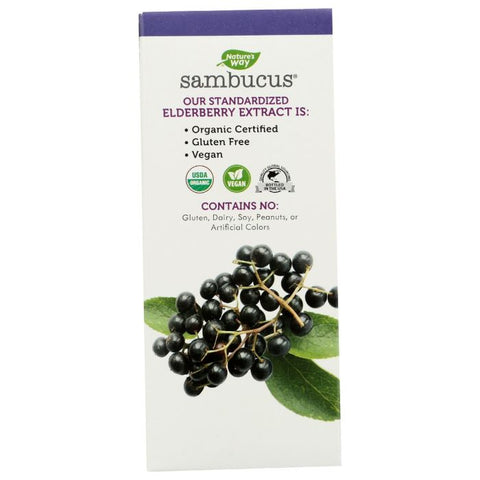 Sambucus Organic Syrup, 4 fo